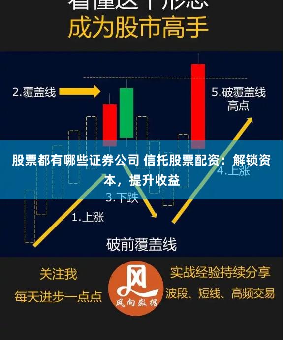 股票都有哪些证券公司 信托股票配资:解锁资本,提升收益